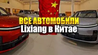 LiXiang Dealership Review in China