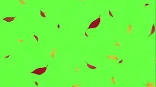 Falling Autumn Leaves | Green Screen Effect | Free