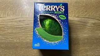 Terry's Mint Chocolate NEW