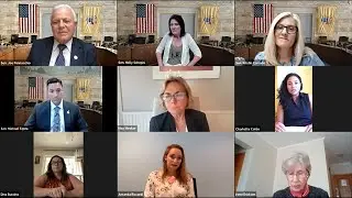 Independent Hearing on Sex Education, State Curriculum Mandates & Parental Rights (all panelists)