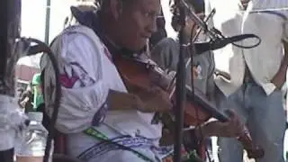 AGUILA REAL AZUL - La Cumbia Del Conejito