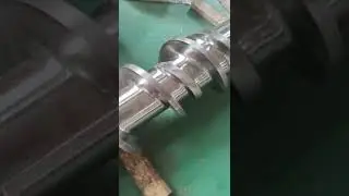 Screw for plastic squeezer