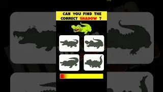 Test Your Eyes : Can You Find The Correct Shadow ? | Eye Test Puzzle #shorts #viral #paheliyan