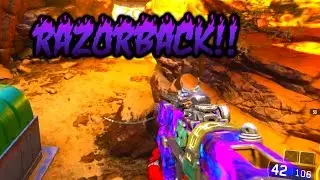 DARK MATTER RAZORBACK ACTION!