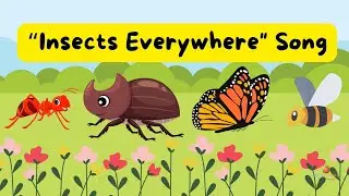 Insects Everywhere Song for Kids | BooBooABC | Fun Bug Learning #insectsong #kidssongs