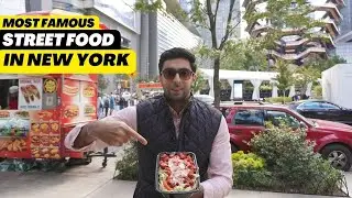 Top Halal Carts in NYC
