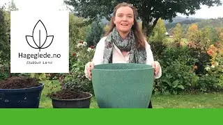 Hva er lasagnemetoden?