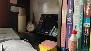 STUDY WITH ME FOR 15 MIN (NO MUSIC/ STUDY ASMR)