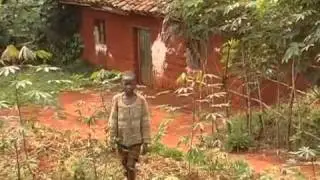 Un Bof. Gli Angeli di Mutoyi