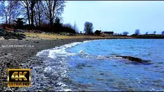 Rhythmic Ocean Waves | Natural Sound for Studying & Working