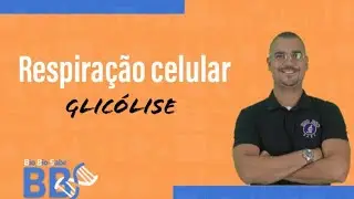 Respiração Celular - Glicólise