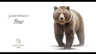 Unveiling Inner Strength: Guided Meditation with the Spirit of the Bear