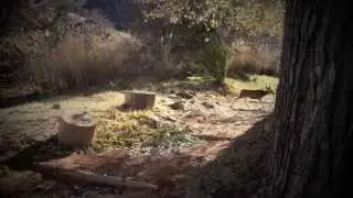 Grand Canyon Winter Adventure