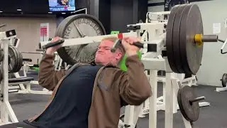 Chest and biceps on the mini cut