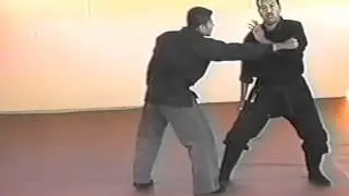 Programa Ninjutsu Basico Shihan Efrain Frias