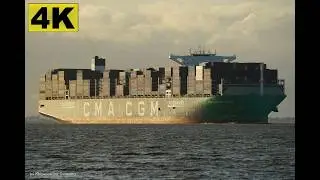 CMA CGM TROCADERO - Shipspotting Germany 🇩🇪 IMO 9839167 - River Elbe near City Otterndorf - 4K VIDEO