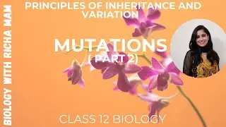 MUTATION ( PART 2) || PRINCIPLES OF INHERITANCE AND VARIATION || CLASS 12 || NEET AND BOARD EXAMS