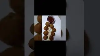 Egg Ball Recipe | Egg Lollipop |Fried Egg Snacks |How to make Egg Ball #shorts #viral #youtubeshorts