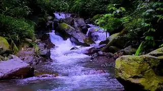Forest Stream Smooth Water Flow | Mountain Nature Sounds & White Noise for Sleep