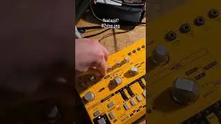 Acid at its finest #acid #td3 #acidtechno #rave #musicproducer #roland #303
