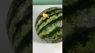 Can You Spot What Gives It Away?