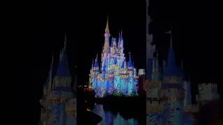 Disney World Christmas 🎄❄️🎄 #christmas  #disney #magic #vacation