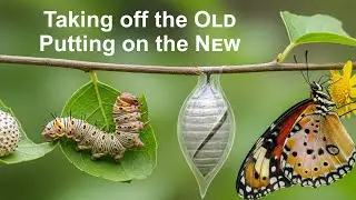 Taking off the Old Putting on the New 3 - Sunday Morning Worship - Grace Emmanuel Church