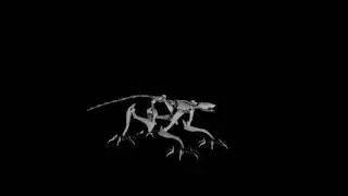 Wiki Test Animatic