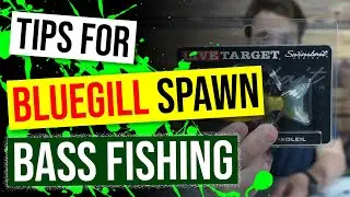Tips for Bass Fishing the BLUEGILL SPAWN!