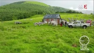 Marchés - Un été en Ariège