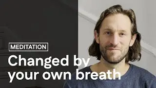 Meditation Course Summary: Your Next Step