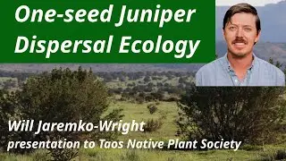One-seed Juniper Dispersal Ecology
