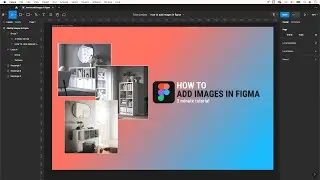 Figma Images Explained - Fill Shapes, Edit Photos & More