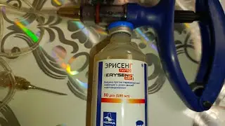 Вакцинация от парвовируса и рожи
