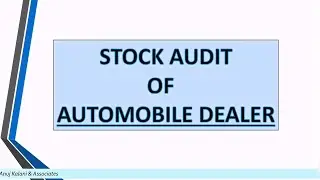 Anuj Kalani & Associates I Stock Audit I Auto Dealers I Basic
