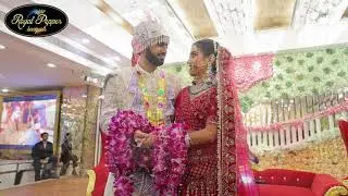 Fog & Flower Shower at Jaimala || Royal Pepper Banquet