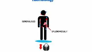 MRCGP  Crammers: Haematology 2WW