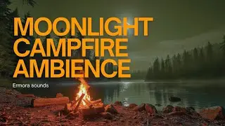 Moonlight Campfire by the Lake 🌕🔥 | Night Ambience & Relaxing Music for Sleep, Study & Meditation
