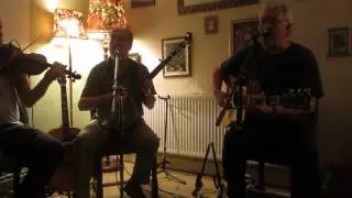 Grey Wolf in The Sitting Room, Ludlow