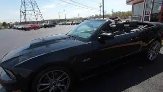 Mustang Idling