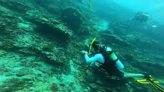 Vecki Reef Dive Guam