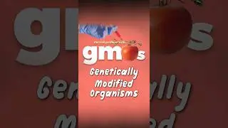 How GMO Seeds Took Over Indian Farming | GMO Scam Explained #shorts