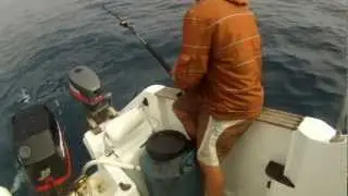 pesca de dentones en la manga
