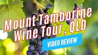 MOUNT TAMBORINE WINE TOUR from Brisbane with The Vino Bus, Australia | Video Review