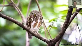 Presentation: Birding in Nepal