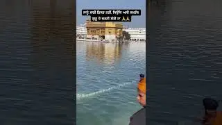 Golden Temple live 🙏🙇&zwj;♂️🙇&zwj;♀️🌺🌸❤️ #goldentempleamritsar #dhangururamdassahibjio