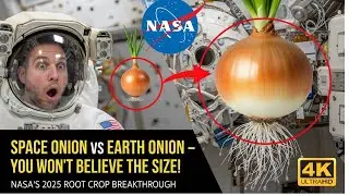 Growing Large Onions in Space NASA's Secret Hydroponic & Aeroponic Methods for Bulb Crops 2025