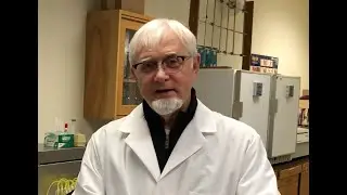 How to use phase-contrast microscopes like a pro