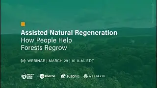 Assisted Natural Regeneration: How People Help Forests Regrow (English)