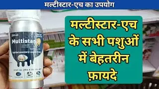 Multistar-H Liquid || feed Concentrate for All Animals||Dosage usage and Benifit